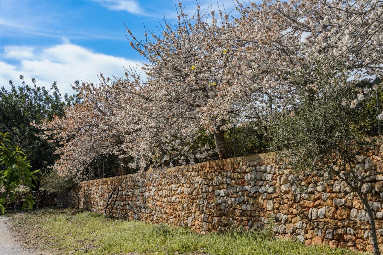 Agroturismo Rural Can Prats Apartment Sant Carles de Peralta Exterior photo